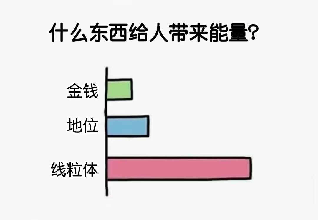 什么东西给人带来能量？除了金钱地位那就是线粒体